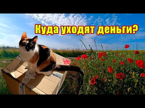 Видео: Сколько стоит жизнь в Польше. Неделя 3 #поехаливпольшу #впольше #жизньвпольше