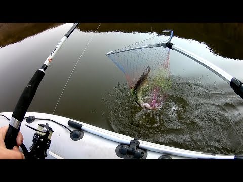 Видео: р. Ахтуба. Лучшая рыбалка!!! Ловля щуки на джиг с лодки.. Учу отца ловить на джиг.