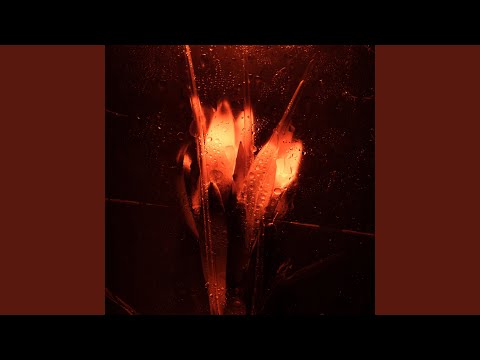 Видео: Пламя (Acoustic)