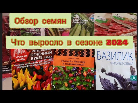 Видео: Обзор семян овощи и цветы🍆🥕🥒🍅