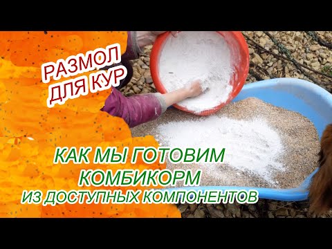 Видео: Размол для кур. Как готовим мы, состав зерновой смеси.