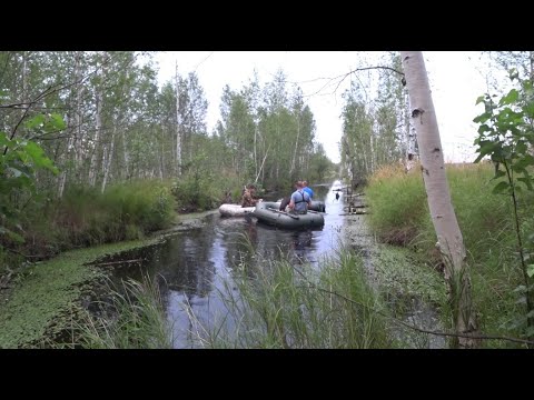 Видео: Открытие охоты в Московской области 2023