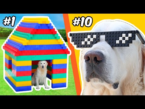 Видео: Конструкторы LEGO для СОБАКИ...