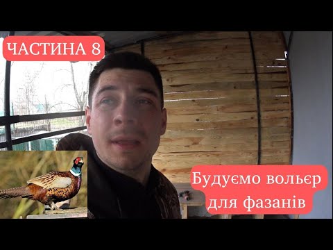 Видео: Будуємо вольєр для фазанів - частина 8