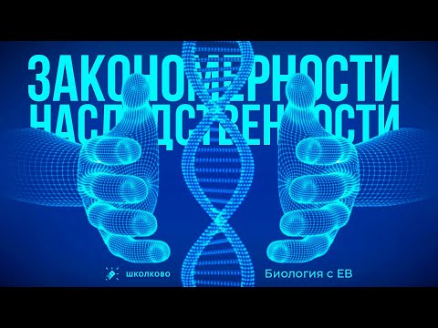 Видео: Генетика: основные понятия, закономерности наследственности: законы Менделя. ЕГЭ по биологии 2024