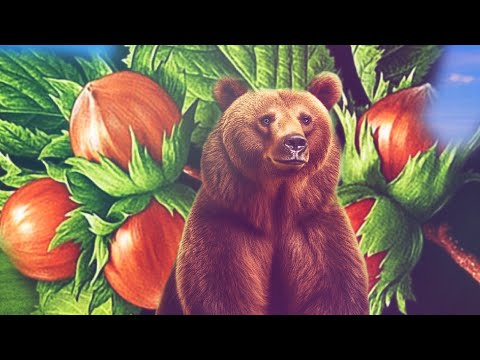 Видео: ОРЕШНИК