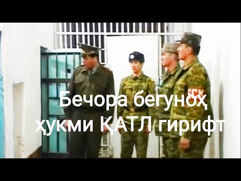 Видео: ШАКАРХАНД. Бечора ҳукми қатл гирифт.Навелаи телевизиони.