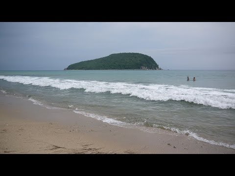 Видео: Остров Петрова. Как добраться.