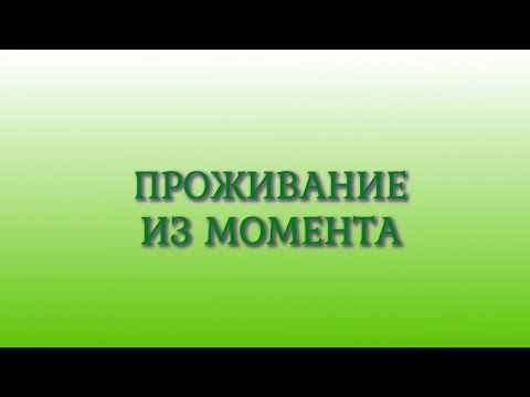Видео: Проживание из момента