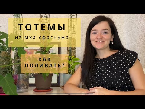 Видео: Тотемы из мха сфагнума для ароидных. Как поливать