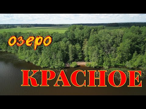 Видео: Оз. Красное. Лен. обл. Фидер. Июнь 2024г.