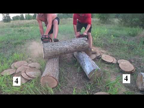 Видео: Мотор Січ проти Holzfforma G388/ ТЕСТ ДРАЙВ