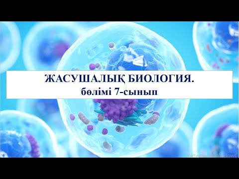 Видео: 7 сынып Өсімдіктер мен жануарлар жасушаларының құрылыс ерекшеліктері