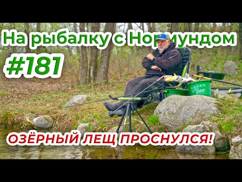 Видео: БОЛЬШИЕ ЛЕЩИ ЛЕСНОГО ОЗЕРА! / На рыбалку с Нормундом #181