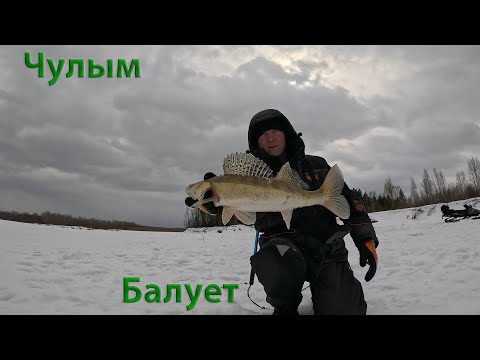 Видео: Чулым снова радует!