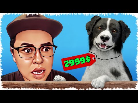 Видео: Ютубер Алик ит сатып алуға барды | Иттер құтырған екен!