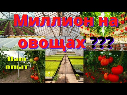 Видео: Миллион на овощах. Зачем мы переехали. Наш опыт.