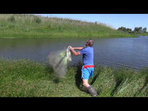 Видео: СУПЕРЗАБРОСЫ И СУПЕРУЛОВ НА КАСТИНГОВУЮ СЕТЬ | Рыбалка от Игоря