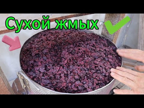 Видео: Прессуем сухой жмых /Сколько выйдет вина?