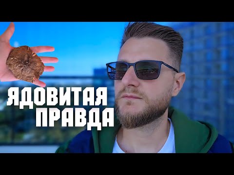 Видео: Откровения выжившего! Три мухомора: Красный, Королевский, Пантерный