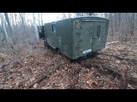 Видео: собираем валежник, газ66 увяз, лебёдка в деле...