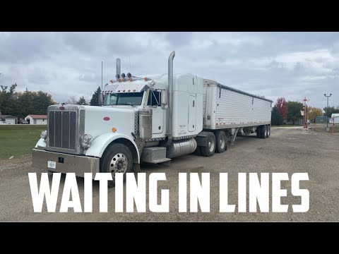 Видео: Я люблю стоять в очередях (грузоперевозки с бункером)