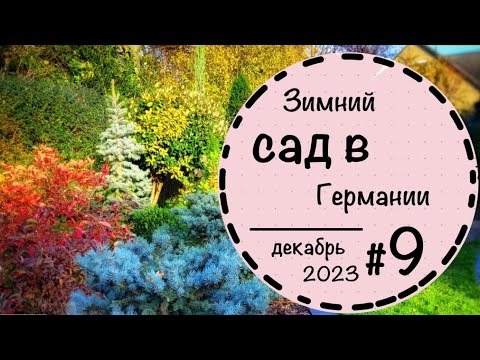 Видео: ☘️Прогулка по саду - 9☘️Суровая зима. Садовый шоппинг! ☘️ Дверь на балкон! ☘️Ноябрь 2023