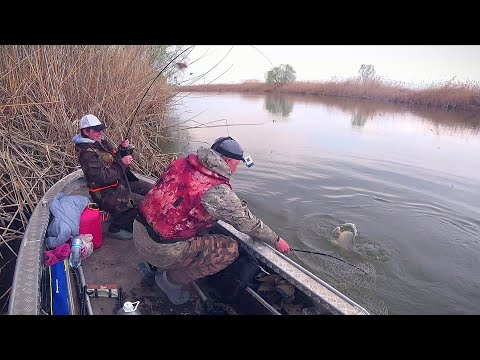 Видео: ЭТО НЕ РЫБАЛКА, А ЖОР КАКОЙ-ТО!  ЖЕНА ЛОВИТ ЛУЧШЕ ЧЕМ Я. Попали на бешеный клёв всех видов рыб.