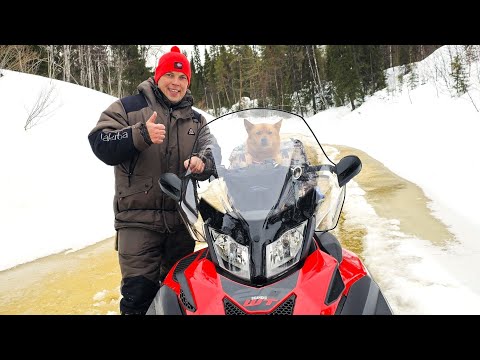 Видео: С РАЗВЕДКОЙ ПО ХАРИУСУ. РЫБАЛКА ВЫХОДНОГО ДНЯ.