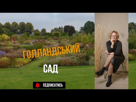 Видео: ЛАНДШАФТНИЙ ДИЗАЙН | САД У ГОЛЛАНДСЬКОМУ СТИЛІ