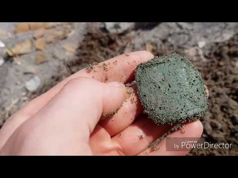 Видео: Пляжный коп на Сахалине. Находки со времен Карафуто, а так же добыча морского ежа. Sakhalin