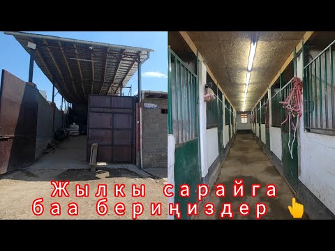 Видео: Ат сарай издегендер көрүңүздөр 👆👍👍👍