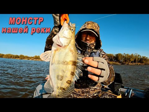 Видео: Такие МОНСТРЫ ловятся в НАШЕЙ реке на спиннинг