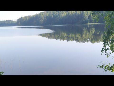 Видео: Важные Новости