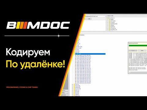 Видео: Как кодировать БМВ по удалёнке? Карты, руссификация и настройка радио частот. Вместе с Eugene Irimia