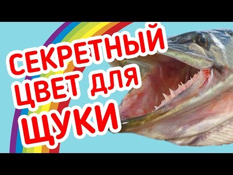 Видео: СЕКРЕТНЫЙ цвет приманки на ЩУКУ! Рыбалка на микроджиг с берега.