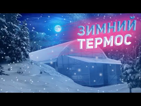Видео: Обзор зимней теплицы термос ❄️ Как правильно её сделать. Это надо обязательно знать!