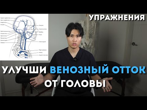 Видео: УЛУЧШИ ВЕНОЗНЫЙ ОТТОК ОТ ГОЛОВЫ при помощи этих упражнений