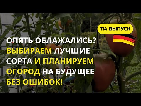 Видео: Дача в Германии. Самые вкусные и надежные томаты-огурцы-баклажаны-перцы? Пора выбирать лучшие сорта