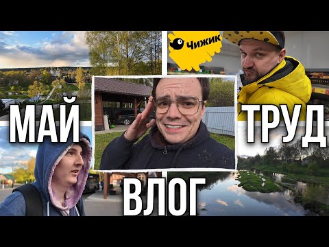 Видео: ЭКСКЛЮЗИВНЫЙ ДАЧНЫЙ ВЛОГ: Решаем проблемы с растениями, путешествуем по Верее и отдыхаем на природе!