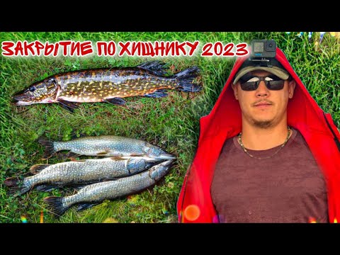 Видео: Закрытие сезона по хищнику 2023(щука лупит как не в себя)