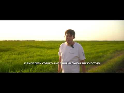 Видео: Посев риса с помощью DJI Agras T50 в Казахстане! (Часть 3 из 4)