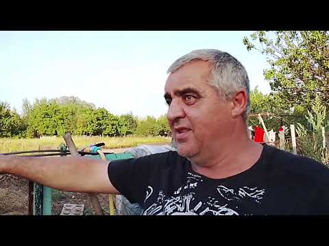 Видео: Итог СЭС как работает система и обзор огорода 