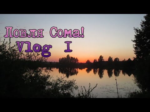 Видео: Ловля Сома Донкой с Берега. Пробный Выезд №1. Река. Выползок.