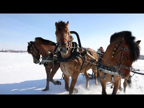 Видео: Природный парк "Олений". Обзорный ролик.