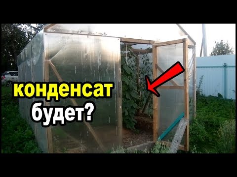 Видео: Открытая и закрытая на ночь теплица. Тест на конденсат.