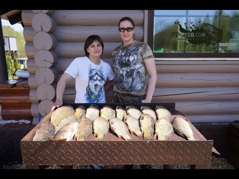 Видео: Платная рыбалка в Московской области. Платные пруды. Рыбалка в Москве.