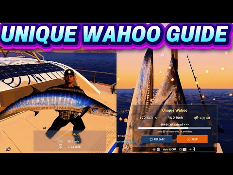 Видео: Уникальное место обитания ваху в Атоллу Куда на Мальдивах — Fishing Planet