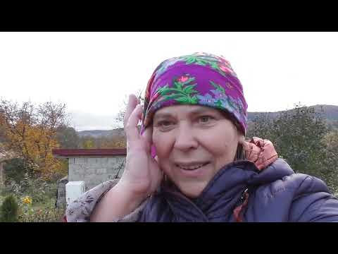 Видео: НАЙБЛИЖЧИМ ЧАСОМ НЕ БУДЕ ГАЗУ. ПОТРІБНО УТЕПЛЮВАТИ  ХАТУ
