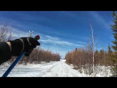 Видео: 02.06.2024 г. Лыжный сезон не заканчивается